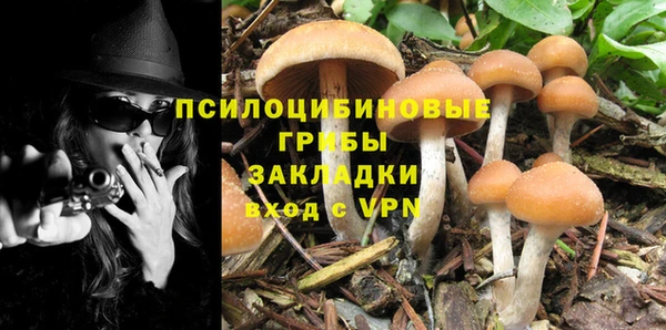 кокаин премиум Алексеевка
